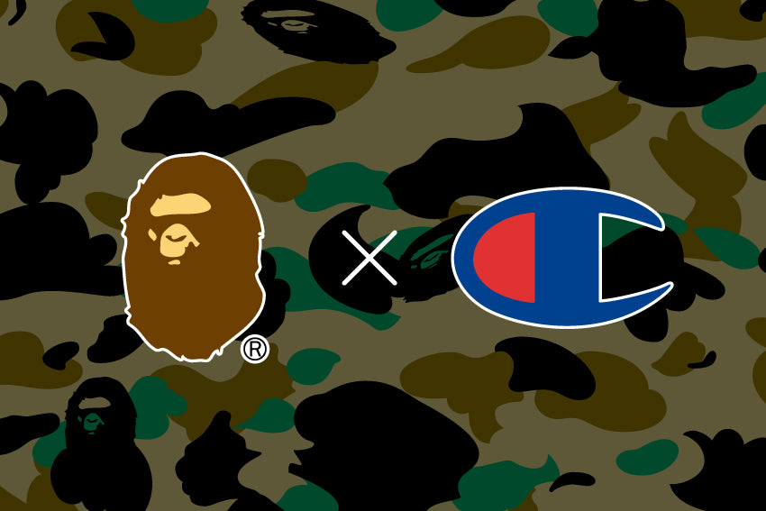 Bape x champion shorts best sale