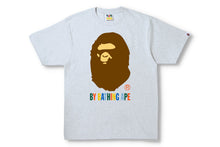 COLORS BY BATHING APE TEE