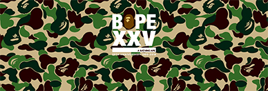 BAPE XXV