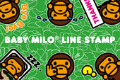 BABY MILO®︎のLINEスタンプを数量限定で先着配布中！