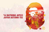 JAPAN AUTUMN TEE