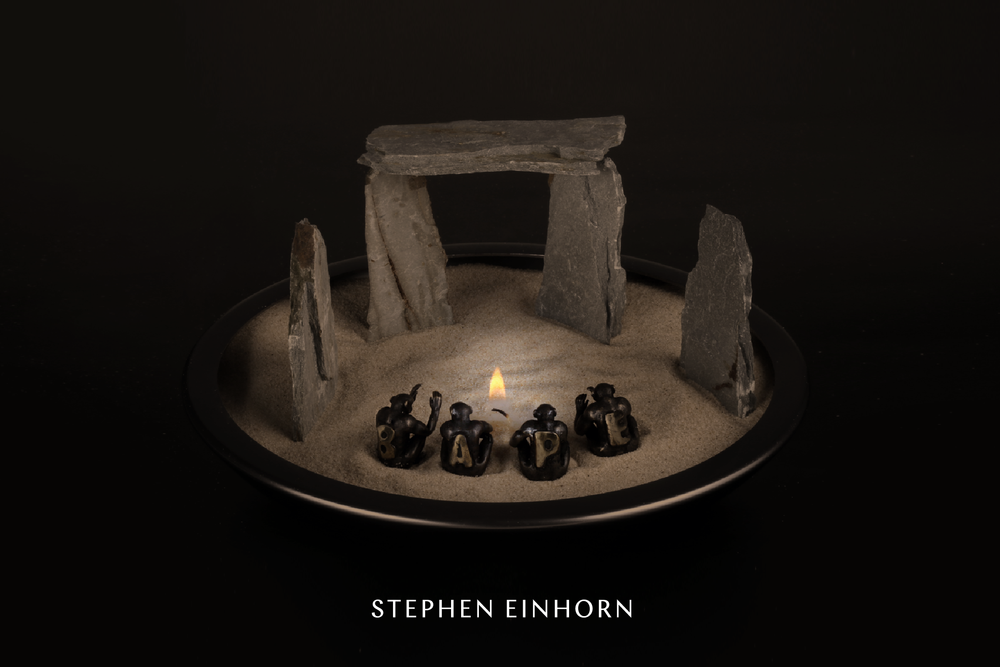 STEPHEN EINHORN × A BATHING APE®︎