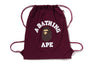 COLLEGE KNAPSACK