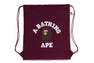 COLLEGE KNAPSACK