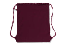 COLLEGE KNAPSACK