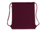 COLLEGE KNAPSACK
