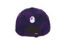 COLOR CAMO BAPE STA PANEL CAP