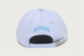 ABC CAMO APE HEAD PANEL CAP