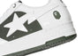 BAPE STA #6