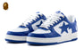 BAPE STA #5