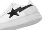 BAPE STA #1