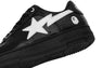 BAPE STA #2