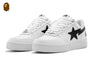 BAPE STA #2