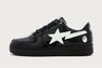 BAPE STA #2-1