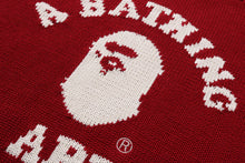 COLLEGE KNIT SWEATER