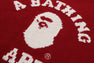 COLLEGE KNIT SWEATER