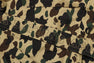 GORE-TEX 1ST CAMO SNOWBOARD JACKET