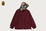 SHARK COACH JACKET