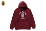 GARMENT DYE COLLEGE PULLOVER HOODIE