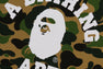 ABC CAMO COLLEGE PULLOVER HOODIE
