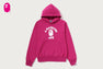 COLLEGE PULLOVER HODDIE