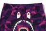 COLOR CAMO SHARK SWEAT PANTS