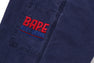 PAINTER WORK PANTS