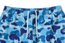 ABC CAMO APE HEAD ONE POINT BEACH SHORTS