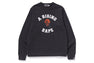 A RISING BAPE SWEATSHIRT