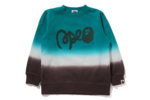 GRADATION BAPE CREWNECK SWEATSHIRT