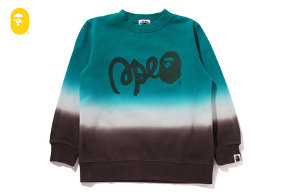 GRADATION BAPE CREWNECK SWEATSHIRT