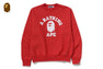 CLASSIC COLLEGE CREWNECK SWEATSHIRT