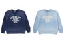 DESTROY WASHED EFFECT RELAXED FIT CREWNECK SWEATSHIRT