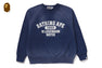DESTROY WASHED EFFECT RELAXED FIT CREWNECK SWEATSHIRT