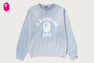 VINTAGE WASHED COLLEGE CREWNECK SWEATSHIRT