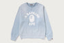 VINTAGE WASHED COLLEGE CREWNECK SWEATSHIRT
