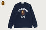 COLLEGE CREWNECK SWEATSHIRT