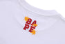 JAPAN AUTUMN APE HEAD TEE