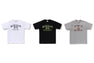 BAPE CHECK UNIVERSITY COLLEGE LOGO TEE