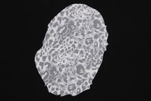 WILD LEOPARD PATTERN APE HEAD RELAXED FIT TEE