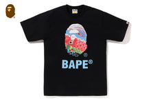 CARP STREAMER PHOTO APE HEAD TEE