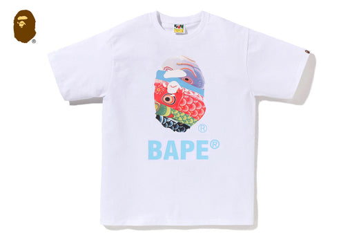 CARP STREAMER PHOTO APE HEAD TEE