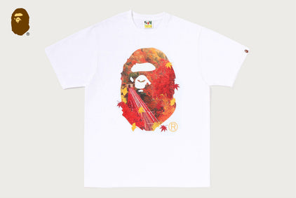 JAPAN AUTUMN PHOTO APE HEAD TEE