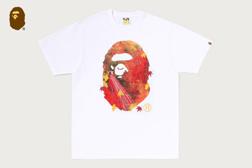 JAPAN AUTUMN PHOTO APE HEAD TEE