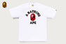 COLOR CAMO COLLEGE TEE