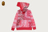 PAISLEY PATTERN SHARK FULL ZIP HOODIE