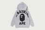BIG COLLEGE ZIP HOODIE