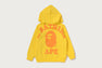 BIG COLLEGE ZIP HOODIE