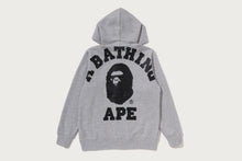 BIG COLLEGE ZIP HOODIE