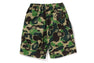 ABC CAMO MILO BEACH SHORTS